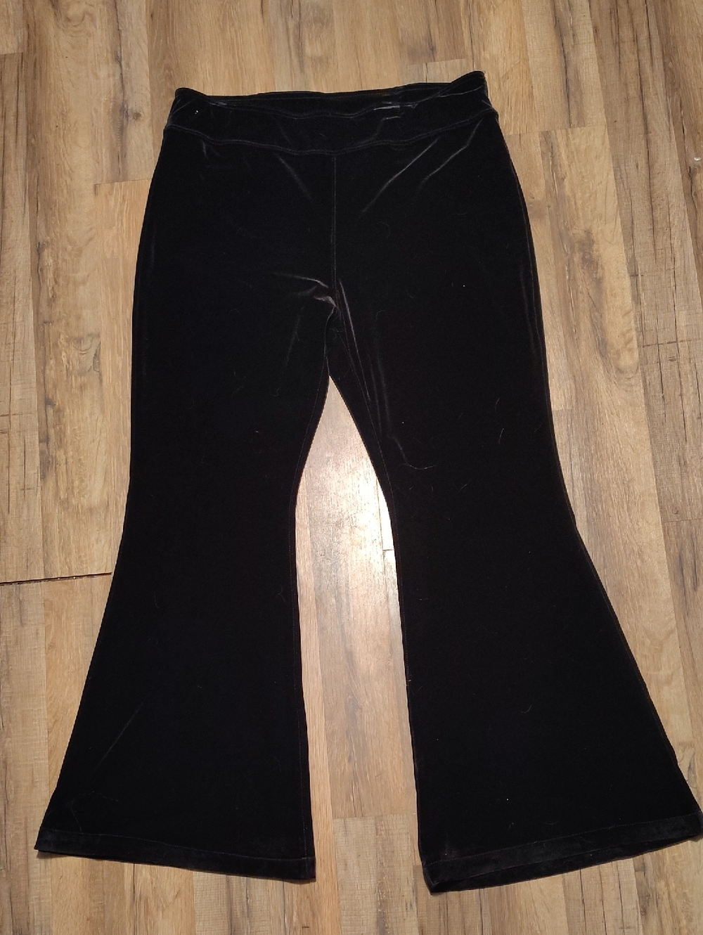 Sofia Vergara Black Velvet Super Flare Pull On High Rise